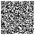 QR code with Anshun contacts