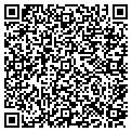 QR code with Cigsbuy contacts