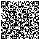 QR code with Ptr Services contacts