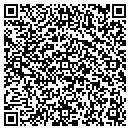QR code with Pyle Petroleum contacts