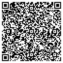 QR code with Castillos Painting contacts