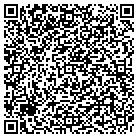 QR code with Pulliam Engineering contacts