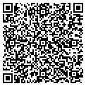 QR code with Motors contacts