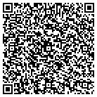 QR code with Cruzio The Internet Store contacts