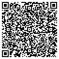 QR code with Visnvis contacts