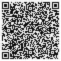 QR code with Tileco contacts