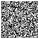 QR code with Premieant Inc contacts