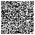 QR code with D Video contacts
