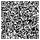 QR code with Professional Paper Hanging contacts