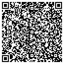 QR code with Carson Cummings CPA contacts