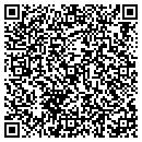QR code with Boral Bricks Studio contacts