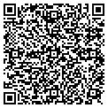QR code with R Pools contacts