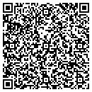 QR code with Big Dipper Ice Arena contacts