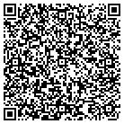 QR code with Pulse Media-Lumenbrite Cafe contacts