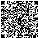 QR code with Platinum Web Site Service contacts