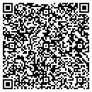 QR code with Cyberlink Systems Inc contacts