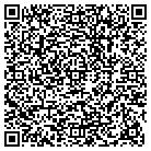 QR code with Public Tranist Service contacts