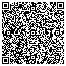 QR code with Pv Pool Care contacts