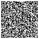QR code with Precision Accessory contacts