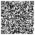 QR code with Torrid contacts