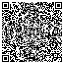 QR code with Premier Precision Mfg contacts