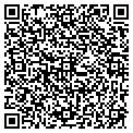 QR code with Netiq contacts