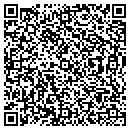 QR code with Protek Sales contacts