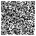 QR code with Dss Co contacts