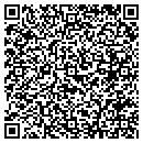 QR code with Carrolls Rock House contacts
