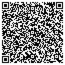 QR code with Public Storage contacts