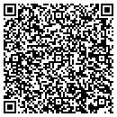 QR code with C D L Environmental contacts