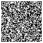 QR code with Pump It Up of Arlington contacts