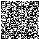 QR code with Pristine Motors contacts