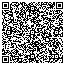 QR code with Premiere Well Service contacts
