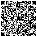 QR code with Cochise Capital Inc contacts