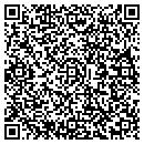 QR code with Cso Custom Software contacts
