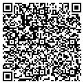 QR code with AMS contacts
