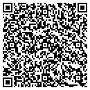 QR code with Public Storage contacts