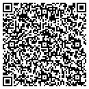 QR code with Pyle Properties contacts