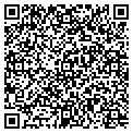 QR code with Saloon contacts