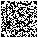 QR code with Cyber Concepts Inc contacts