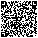 QR code with Plsi contacts