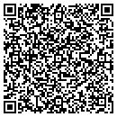 QR code with Pure Imagination contacts