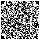 QR code with Spring Creek Apartments contacts