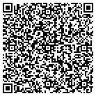 QR code with Pulaski Geiger & Laborde contacts