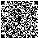 QR code with Brian's Salvage & Junk contacts
