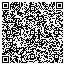 QR code with Push Electronics Inc contacts