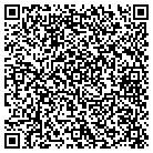 QR code with Brian's Wrecker Service contacts