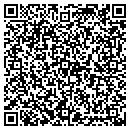 QR code with Professional The contacts