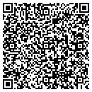 QR code with Bituminous Insurance contacts